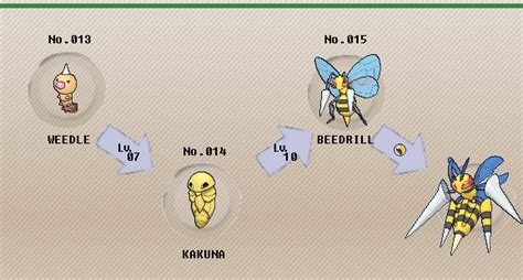 beedrill lv evolution|beedrill serebii.